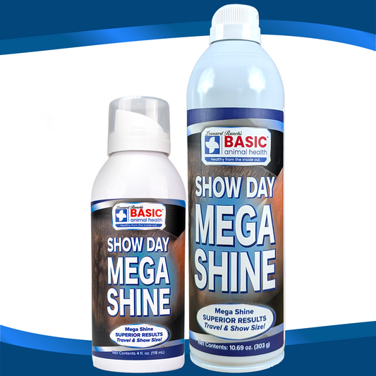 Mega Shine