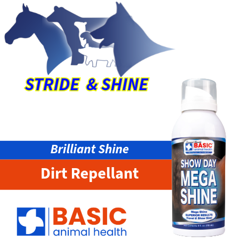 Mega Shine