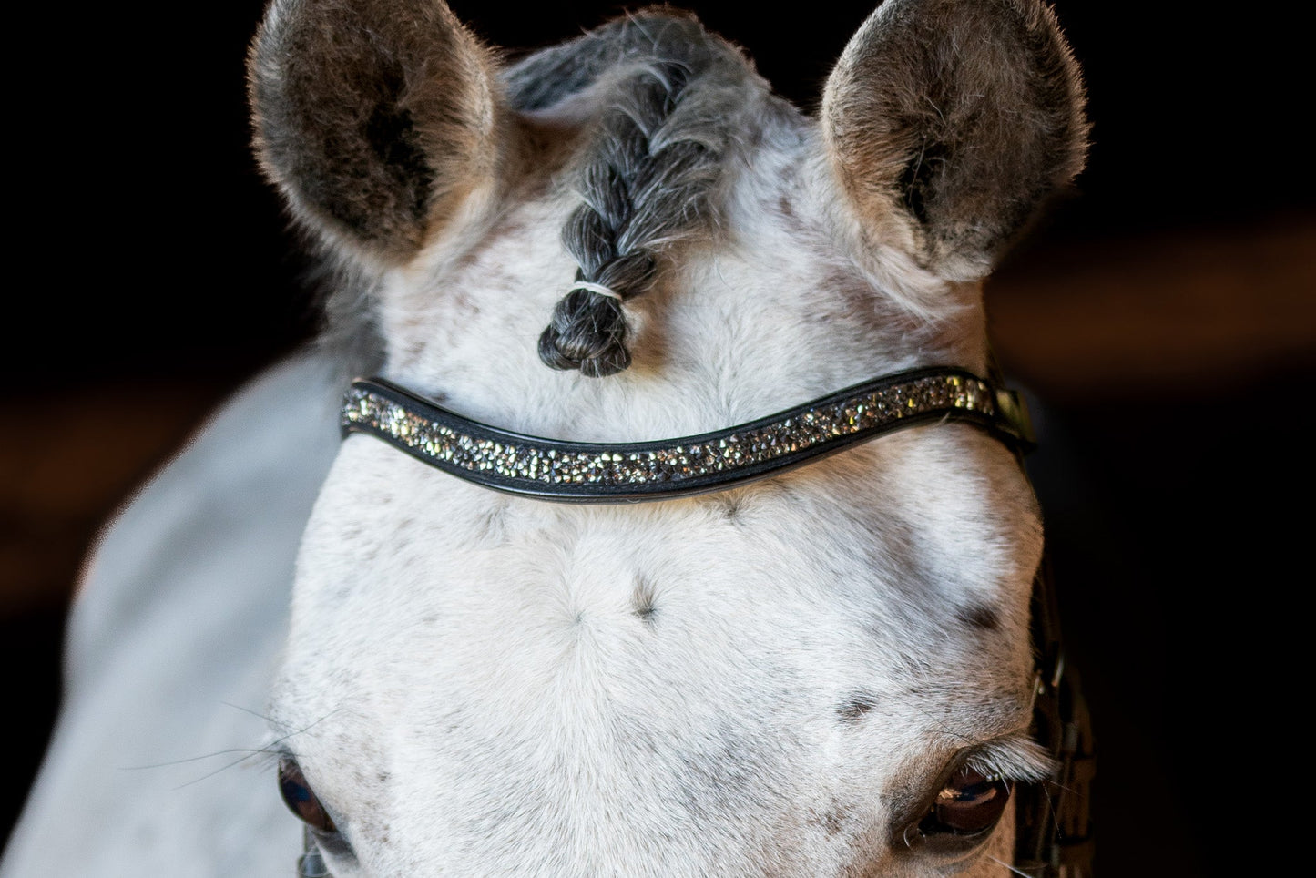 Metallic Bedazzled Browband