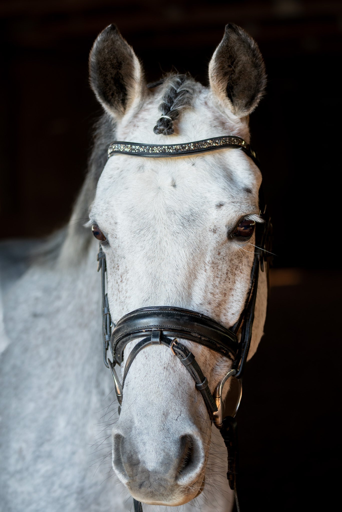 Metallic Bedazzled Browband
