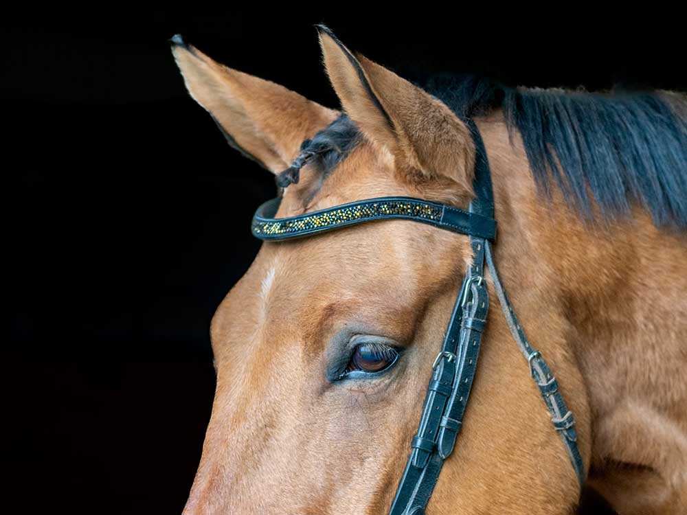 Midnight Bedazzled Browband