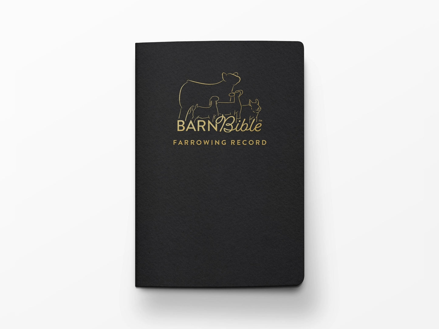 Mini Barn Bible™ Pig Edition