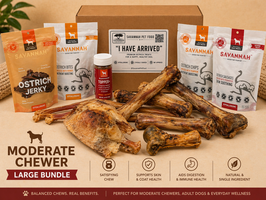 Moderate Chewer Large Box — 12 Ostrich Treats for Everyday Chewers