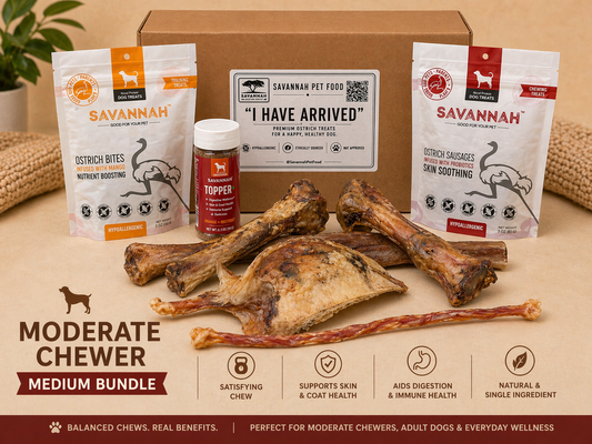 Moderate Chewer Medium Box — 8 Ostrich Treats for Everyday Chewers