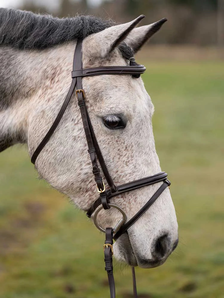 Murphy's Classic Bridle