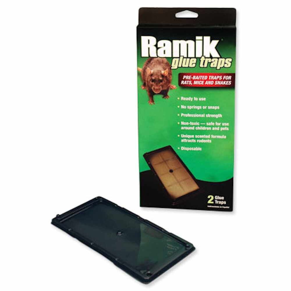 Ramik® RAT GLUE TRAPS, NON-TOXIC - 2/PKG