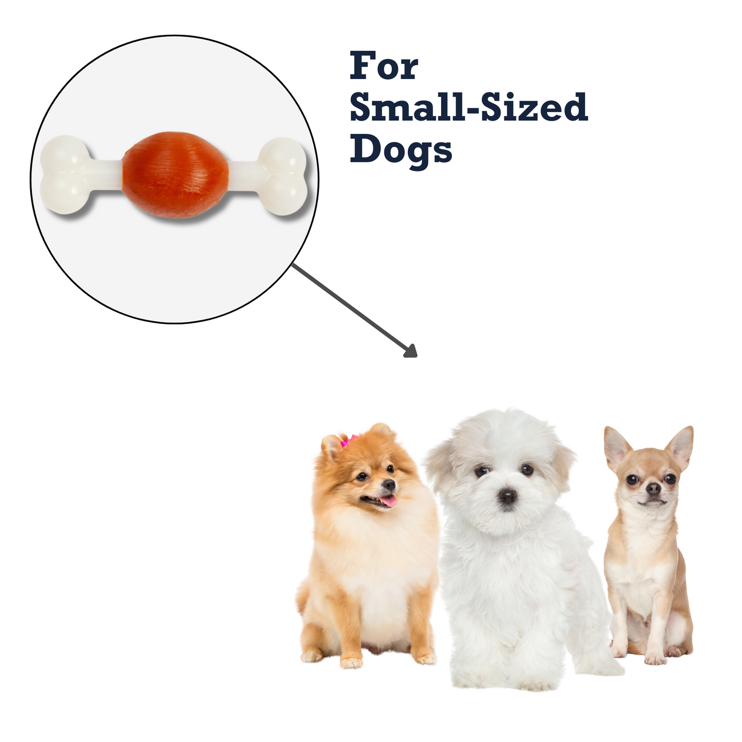 Country Living TPR & Nylon Bone Dog Chew Toy - Beef-Flavored, Ideal for Small Dogs