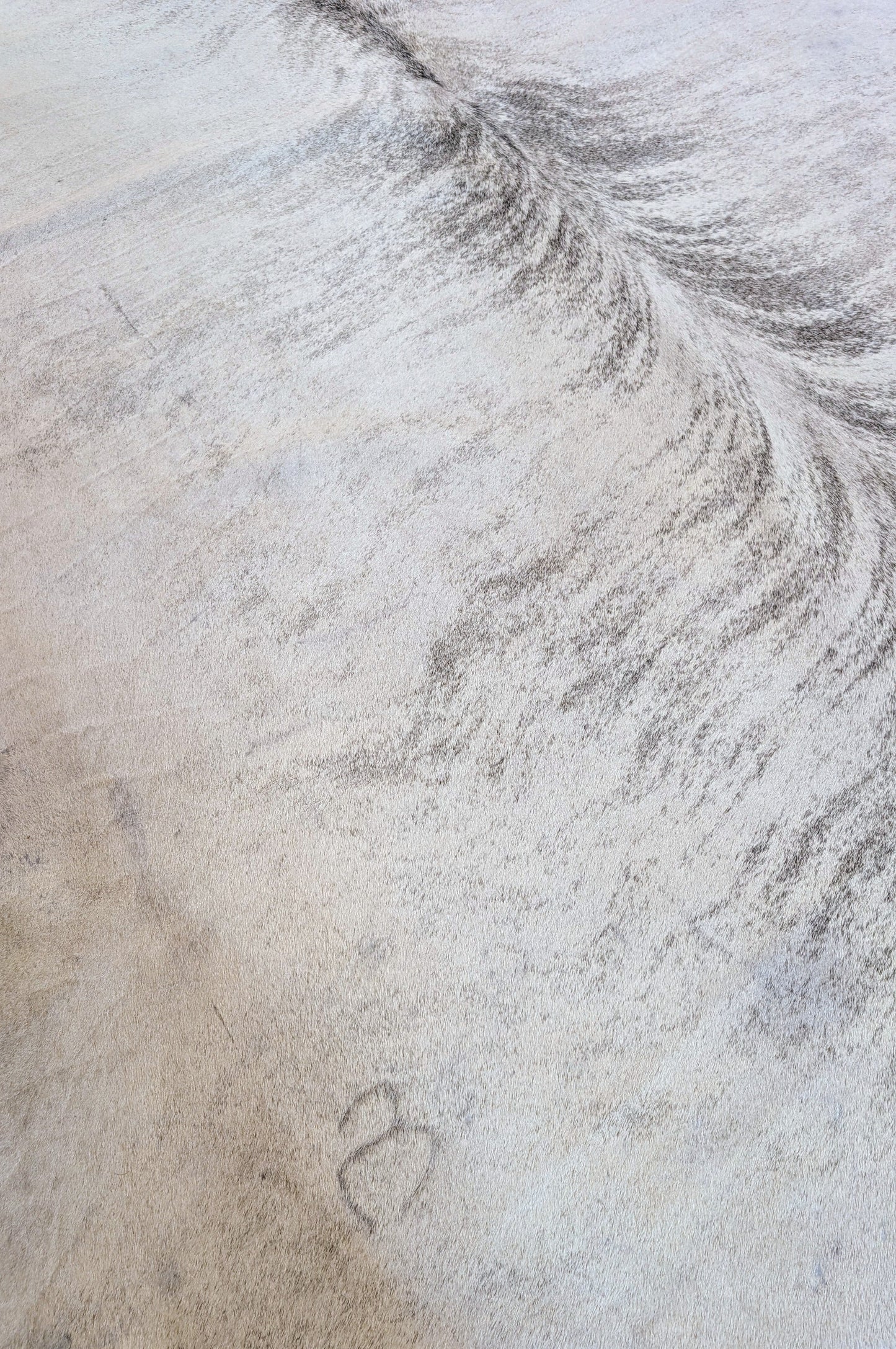 "Ash" Full Cowhide Silver Brindle