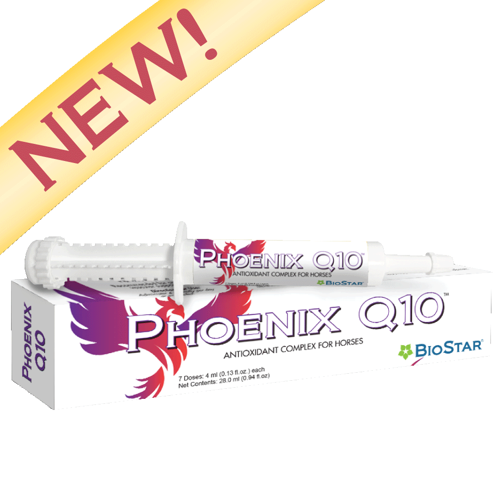 Phoenix Q10