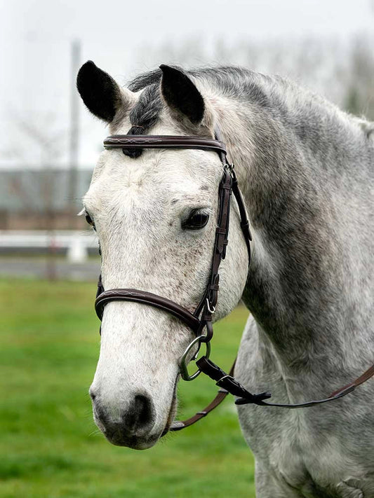 Pinehurst Round Raised Snaffle Bridle