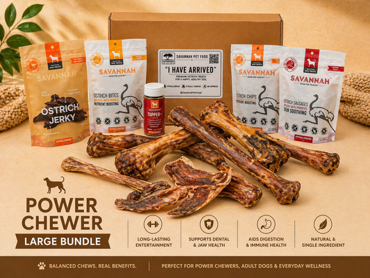 Power Chewer Large Box — 12 Ostrich Treats for Serious Chewers