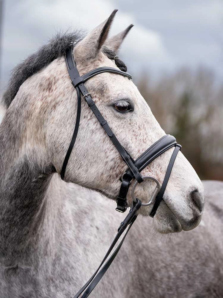 Quail Hollow Round Raised Snaffle Bridle