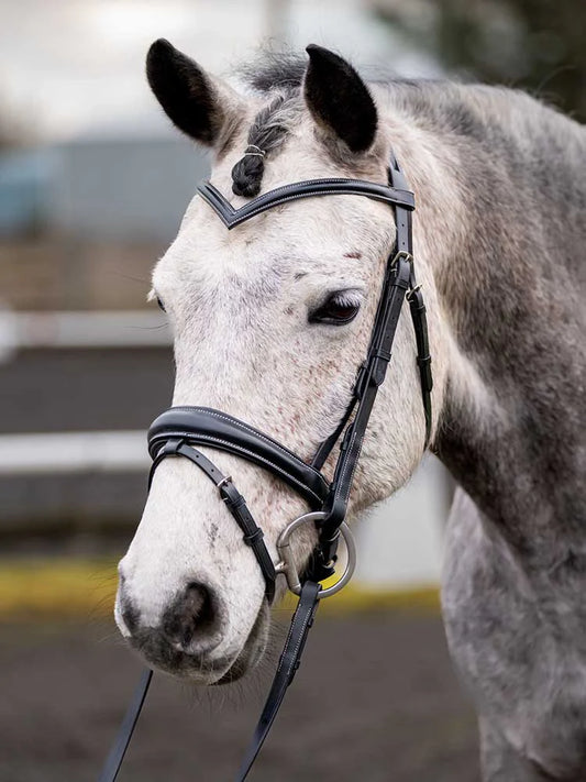Quail Hollow Round Raised Snaffle Bridle