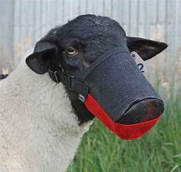 GOAT MUZZLE