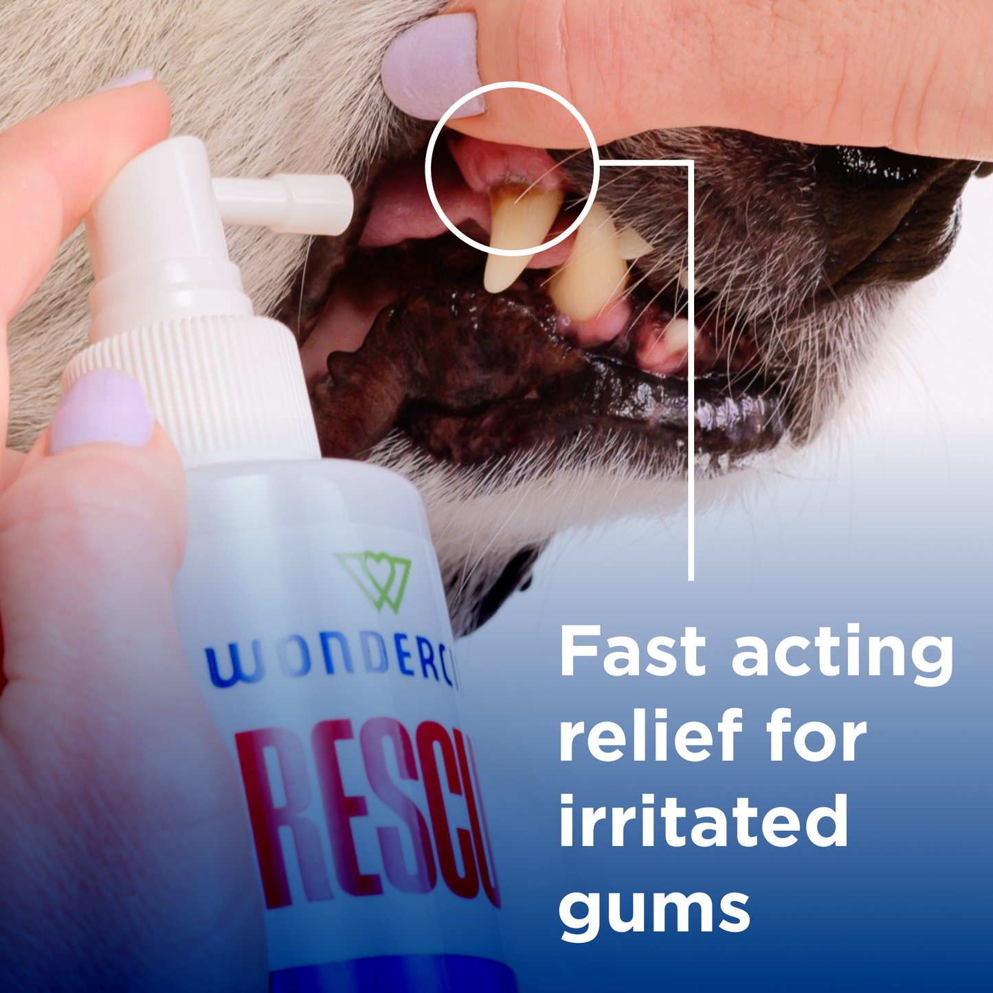 RESCUE™ Oral Spray for Dogs & Cats