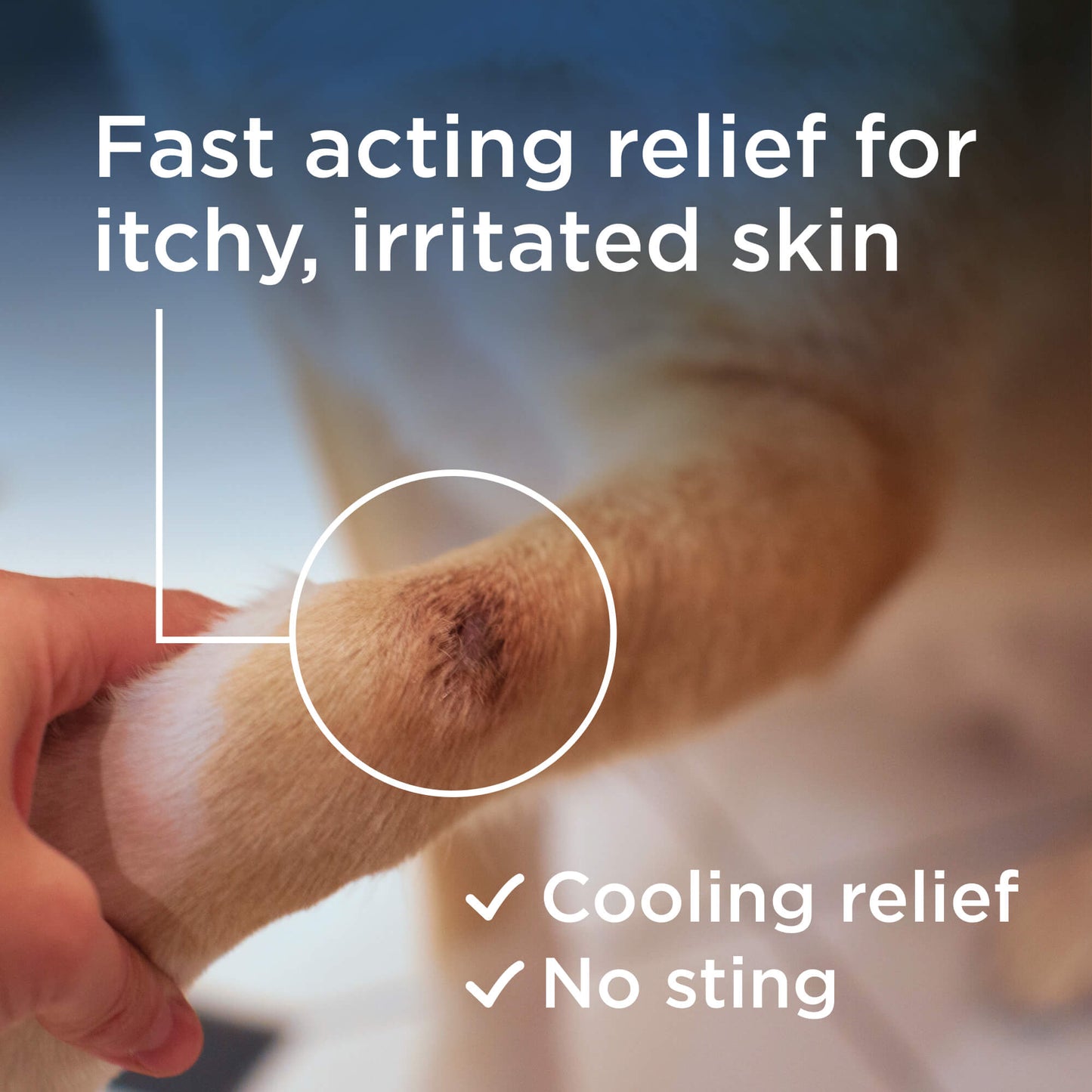 RESCUE™ Skin Spray for Dogs & Cats