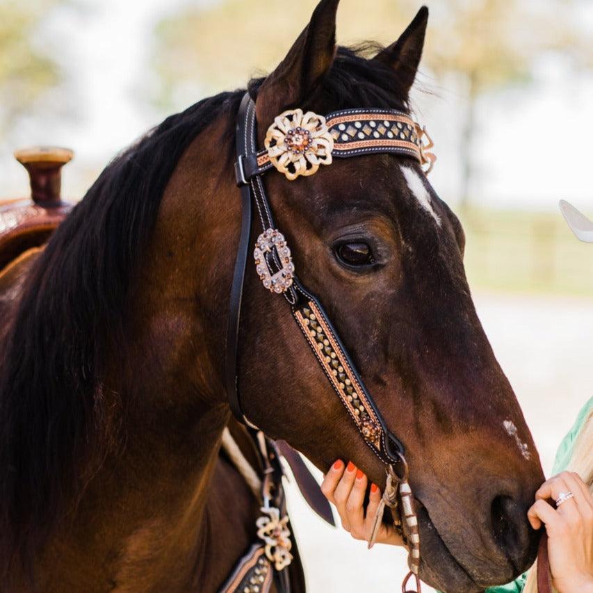 Two Tone Leather - Brass Studded Gold Browband / Breastcollar Tack Set #BBBC538