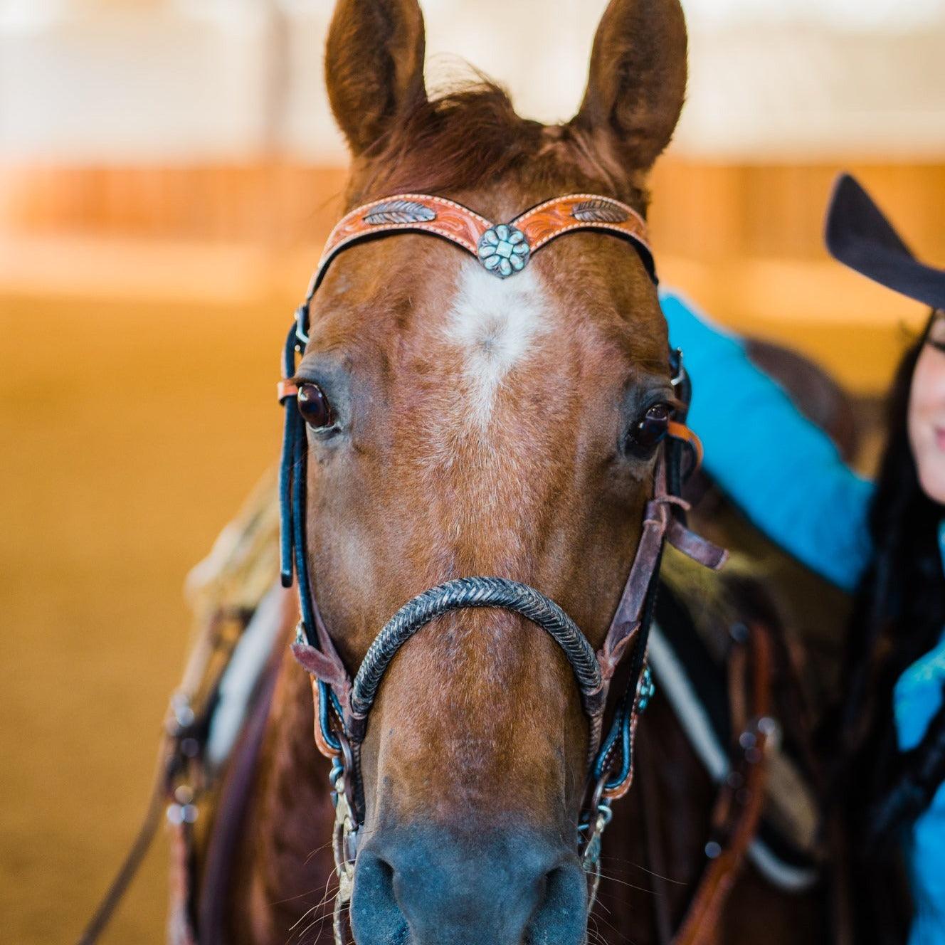 Light Oil V Brow Turquoise and Copper Browband & Breastcollar Tack Set #BBBC443