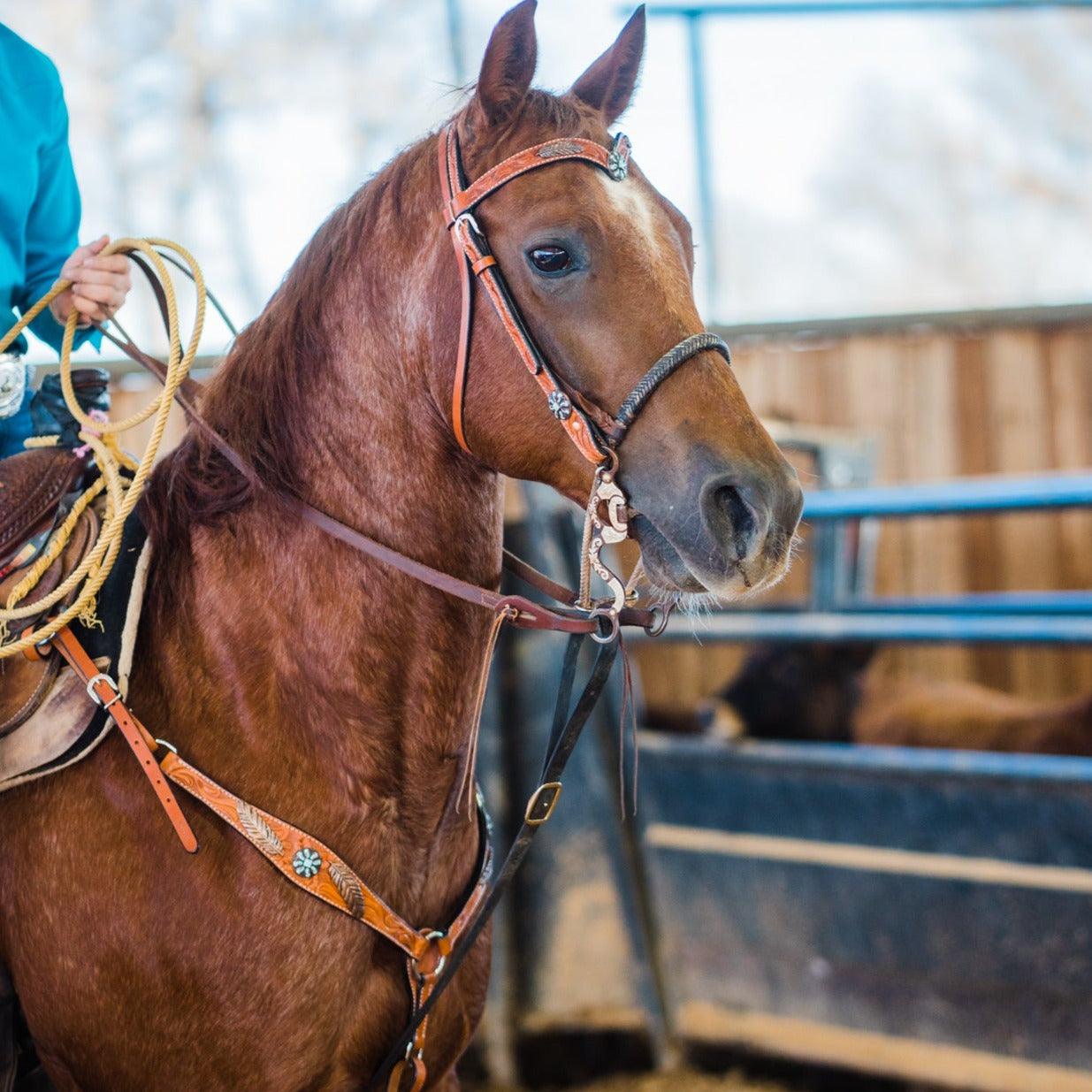 Light Oil V Brow Turquoise and Copper Browband & Breastcollar Tack Set #BBBC443