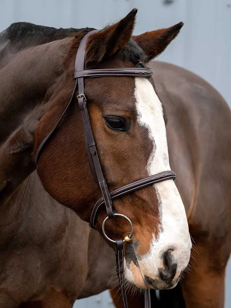 Royal Liverpool Round Raised Hunter Bridle