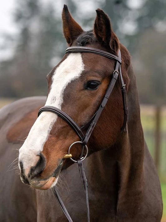 Royal Liverpool Round Raised Hunter Bridle