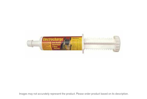 Finish Line: ELECTROCHARGE PASTE - 60 CC