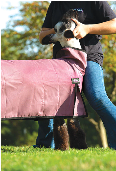 SMALL Nylon Sheep Blanket, Mesh Butt- Mauve