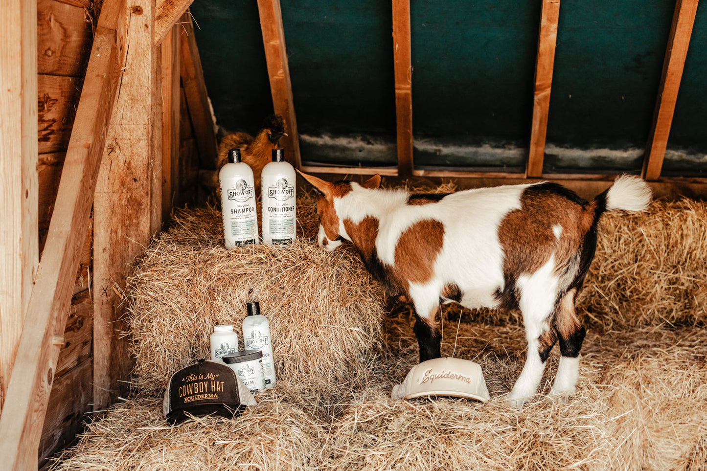 Show Off That Shine Conditioner