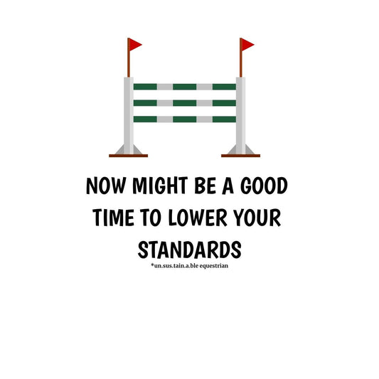 Die Cut Vinyl Stickers - 3x3 - Lower Your Standards