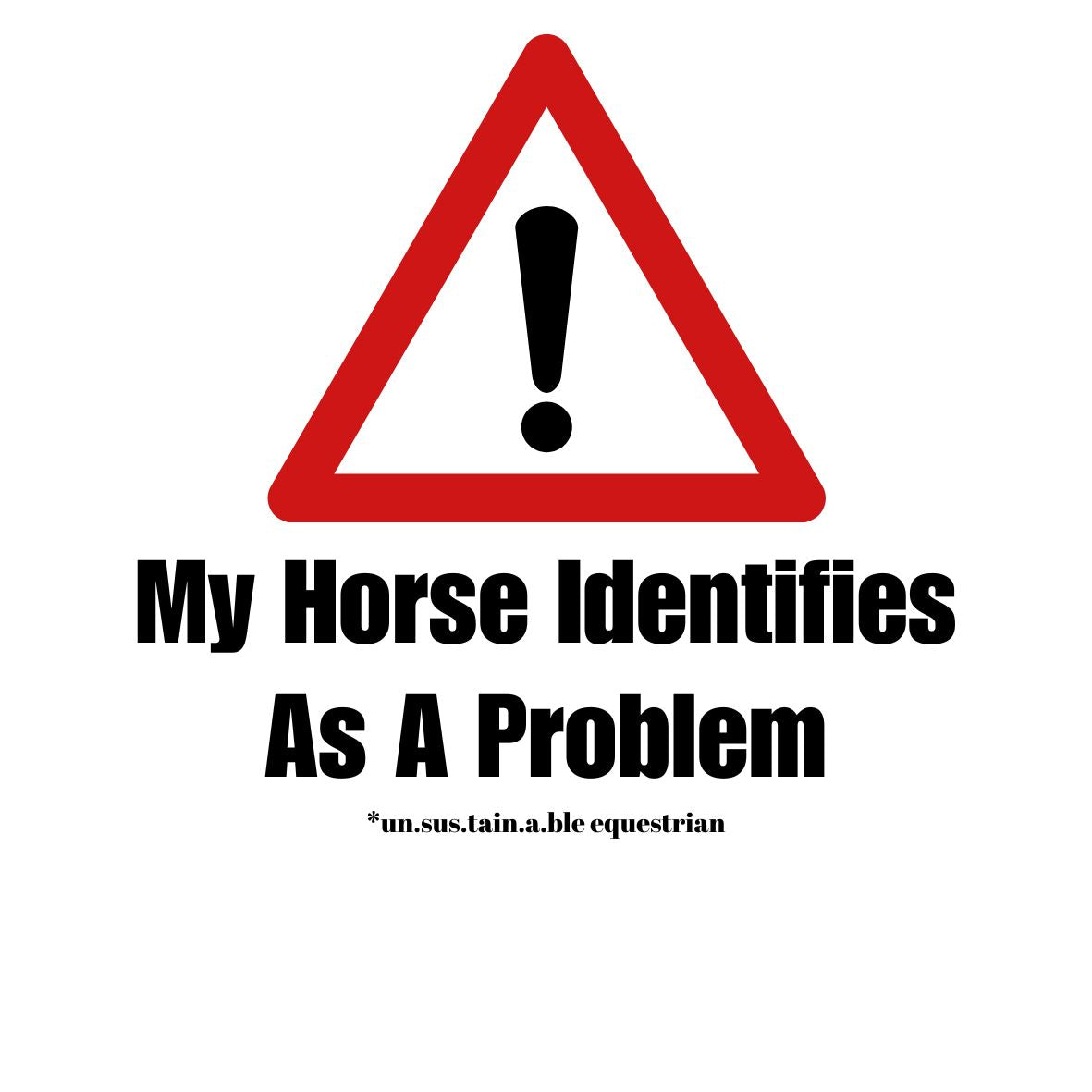 Die Cut Vinyl Stickers - 3x3 - Horse/Problem