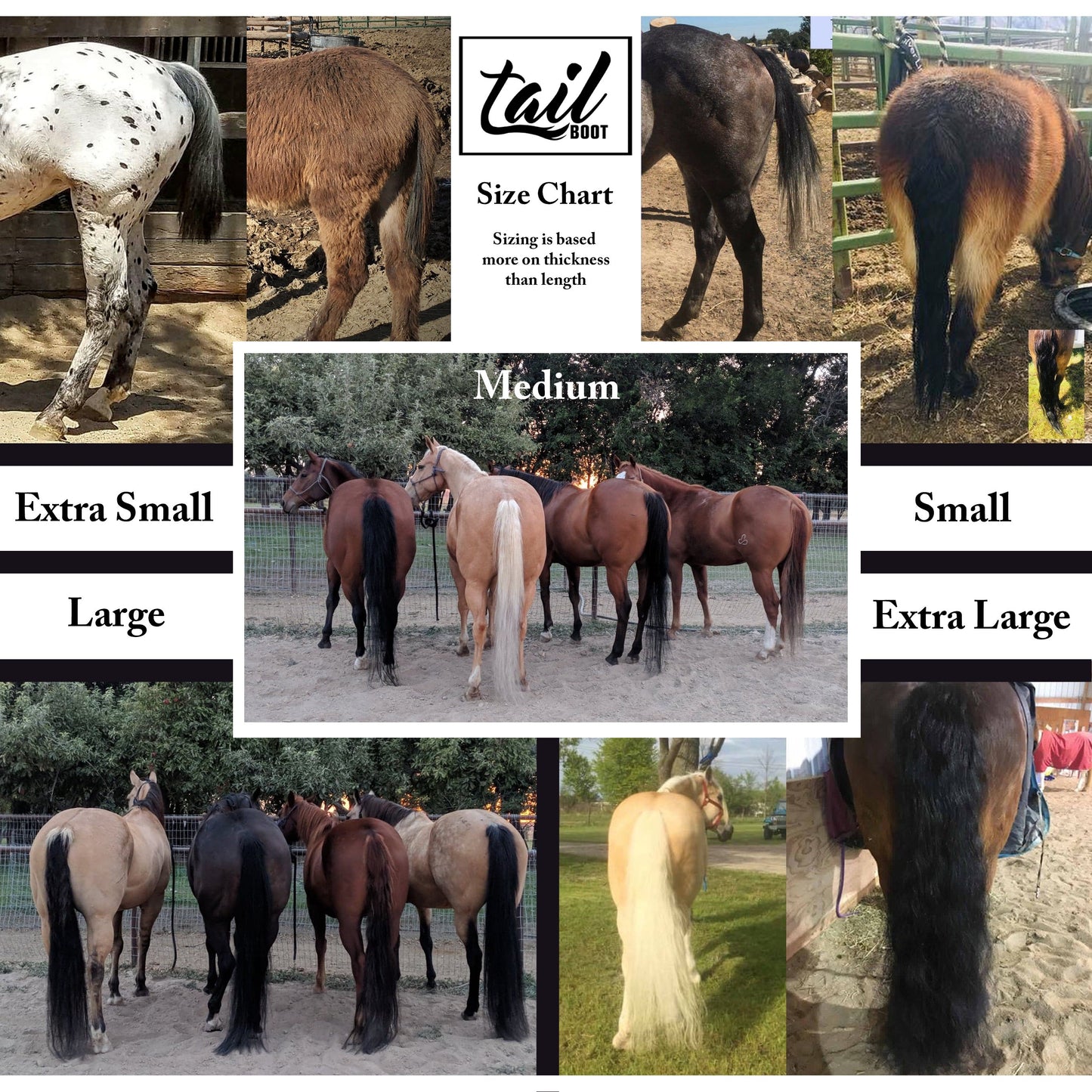 Cheetah -DS
