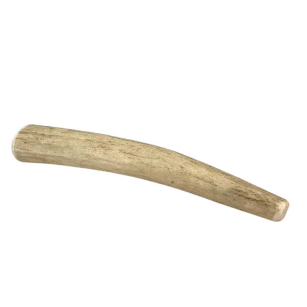 Small Whole Elk Antler for Dogs – 4.5"