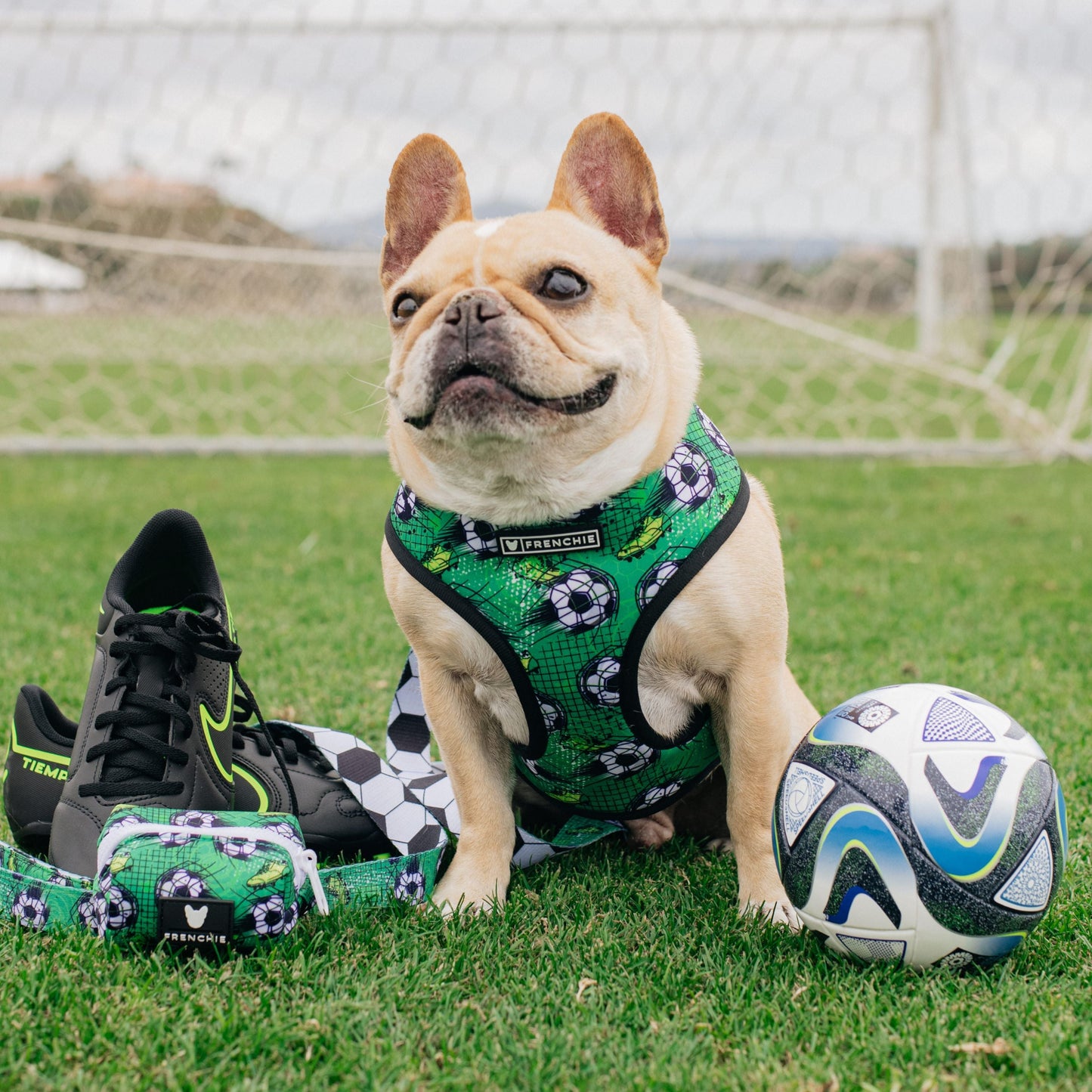 Frenchie Duo Reversible Harness - Soccer