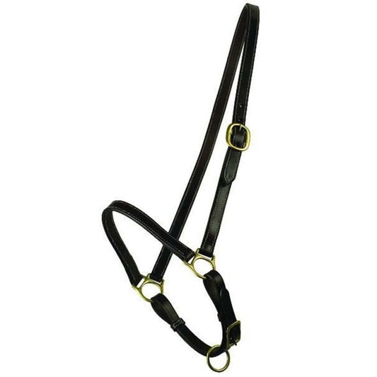 Gatsby Grooming Halter Horse Havana