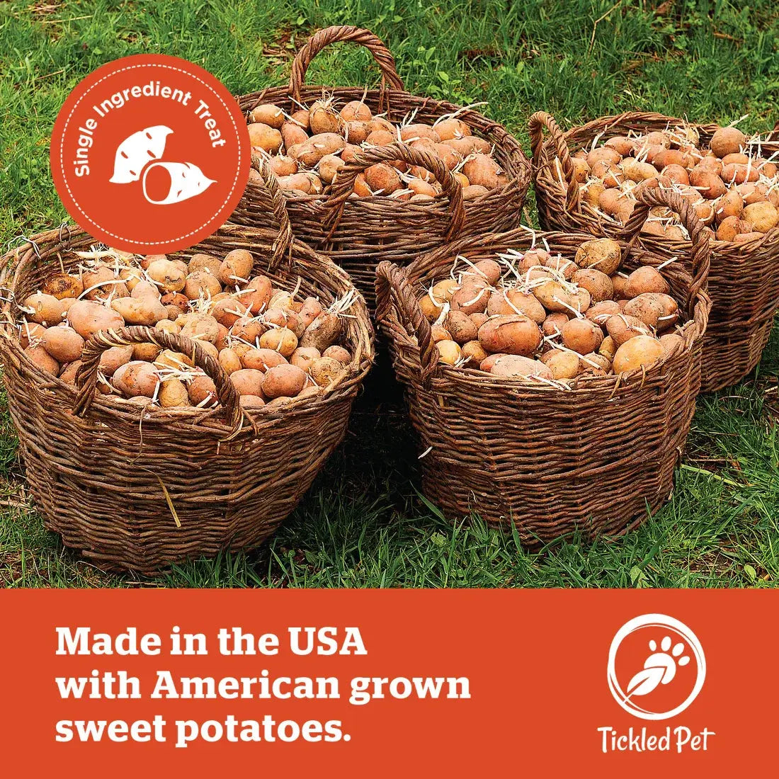 Tickled Pet Sweet Potato Frenched  | Dog Treats