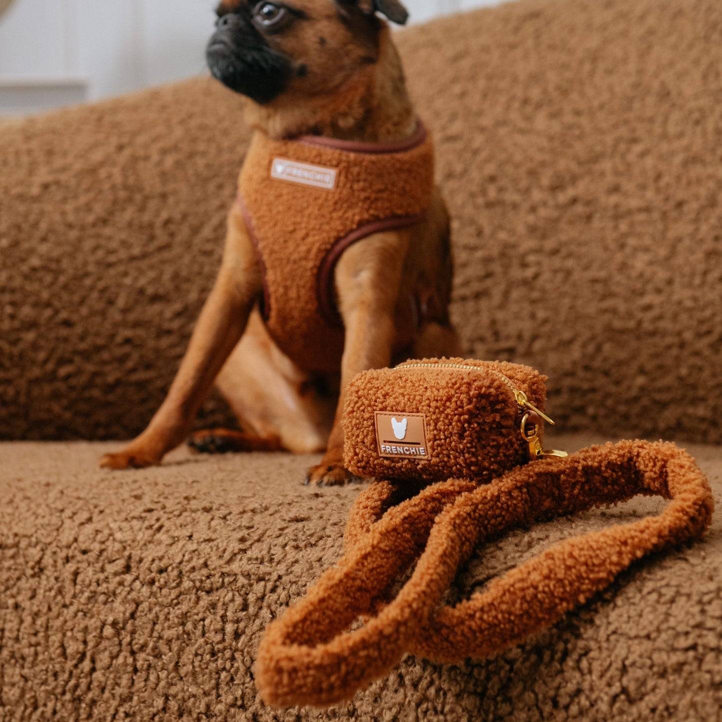 Frenchie Comfort Leash - Teddy Brown