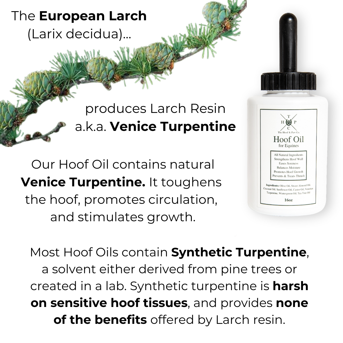 Hoof Oil for Horses - 16oz