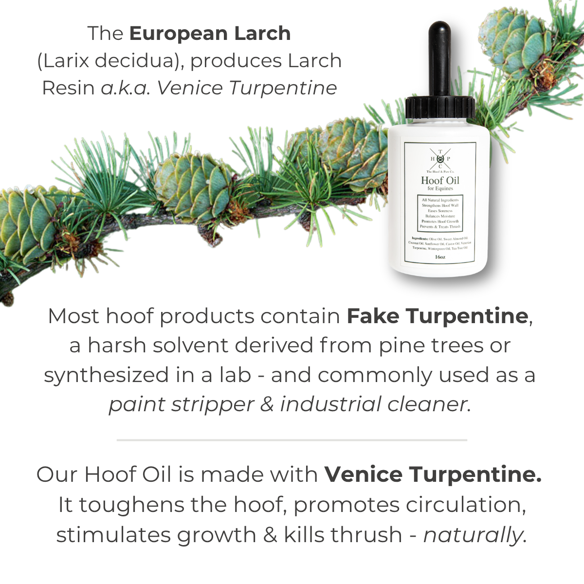 Hoof Oil for Horses