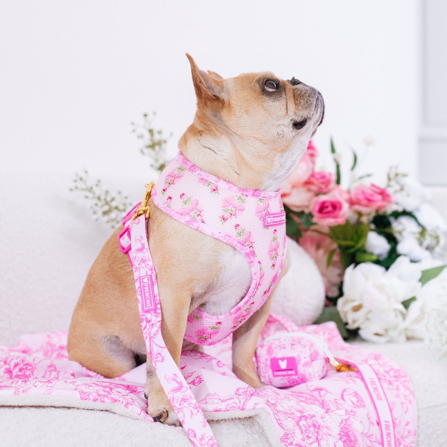 Frenchie Duo Reversible Harness - Toile (Pink)