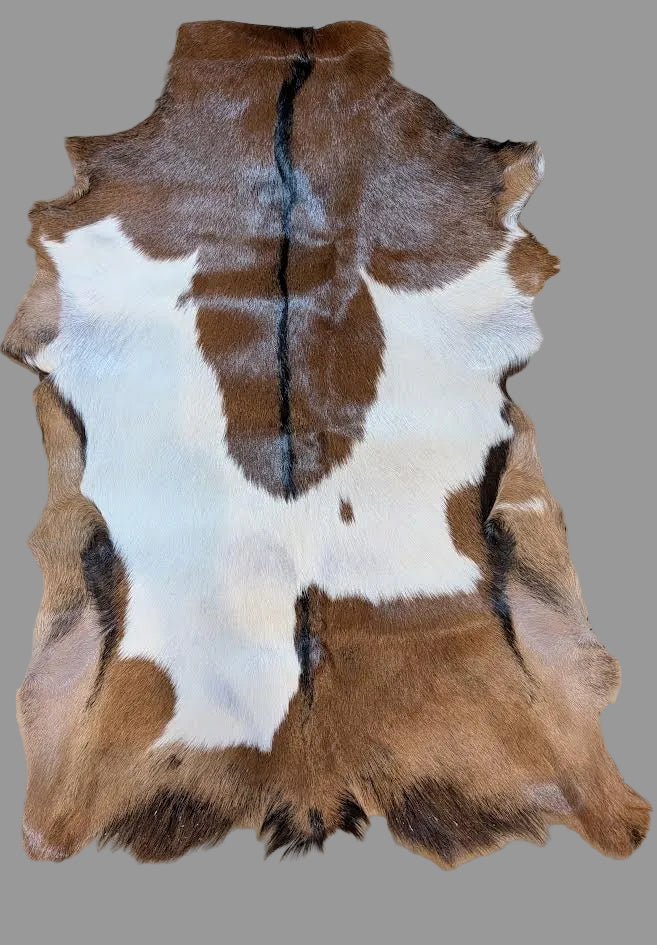Goat Hide " Tailer"