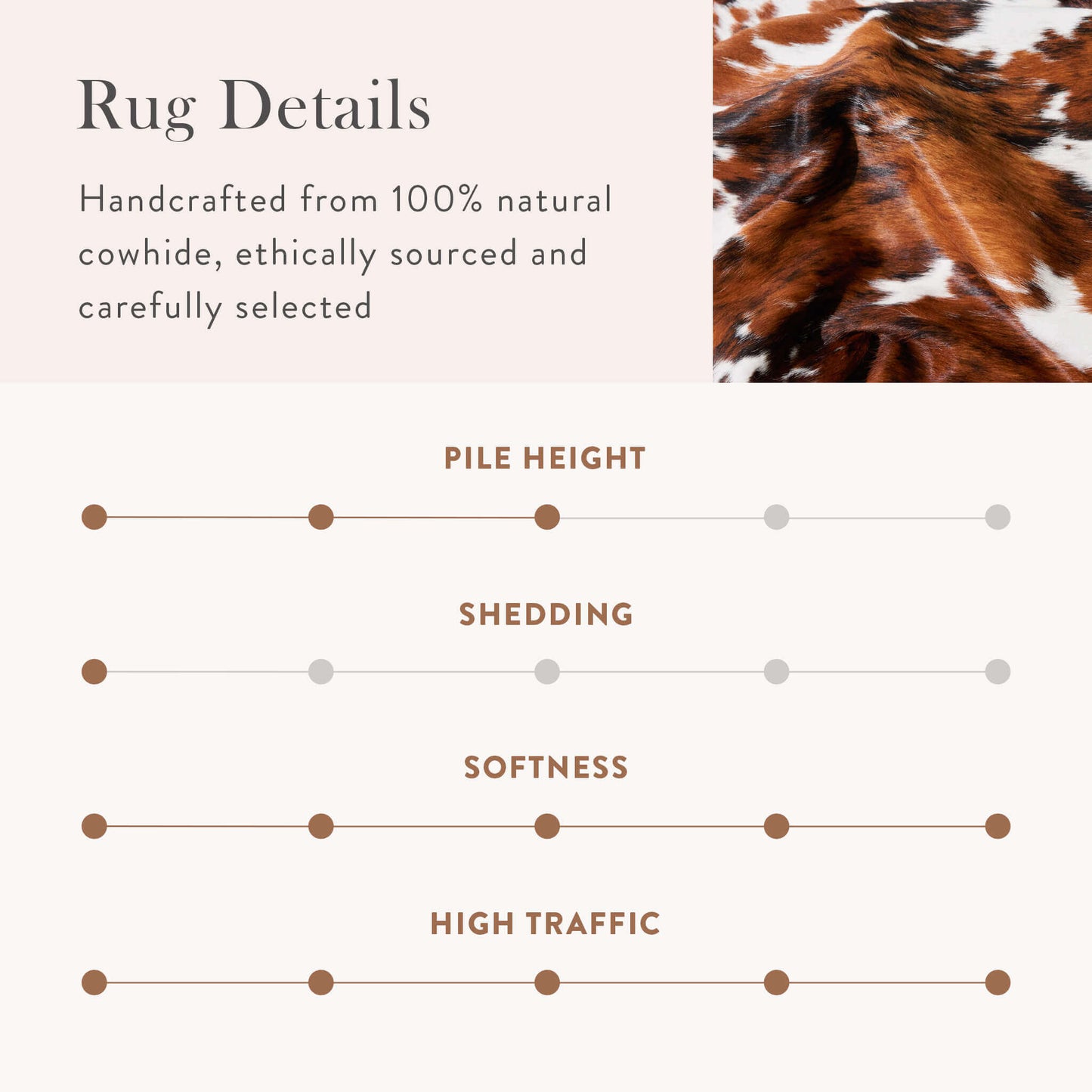 Tricolor Brazilian Cowhide Rug: XXL