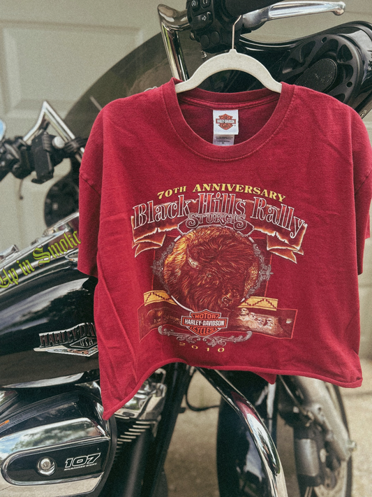2010 Black Hills Rally Sturgis cropped tee-size XL