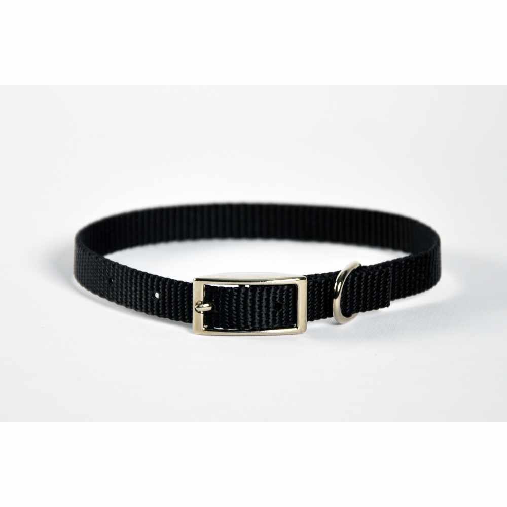 Dog Collar Skinny - 14" Blue
