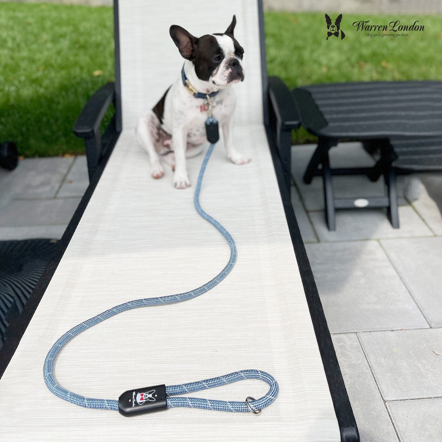 Rope Leash - Blue Reflective