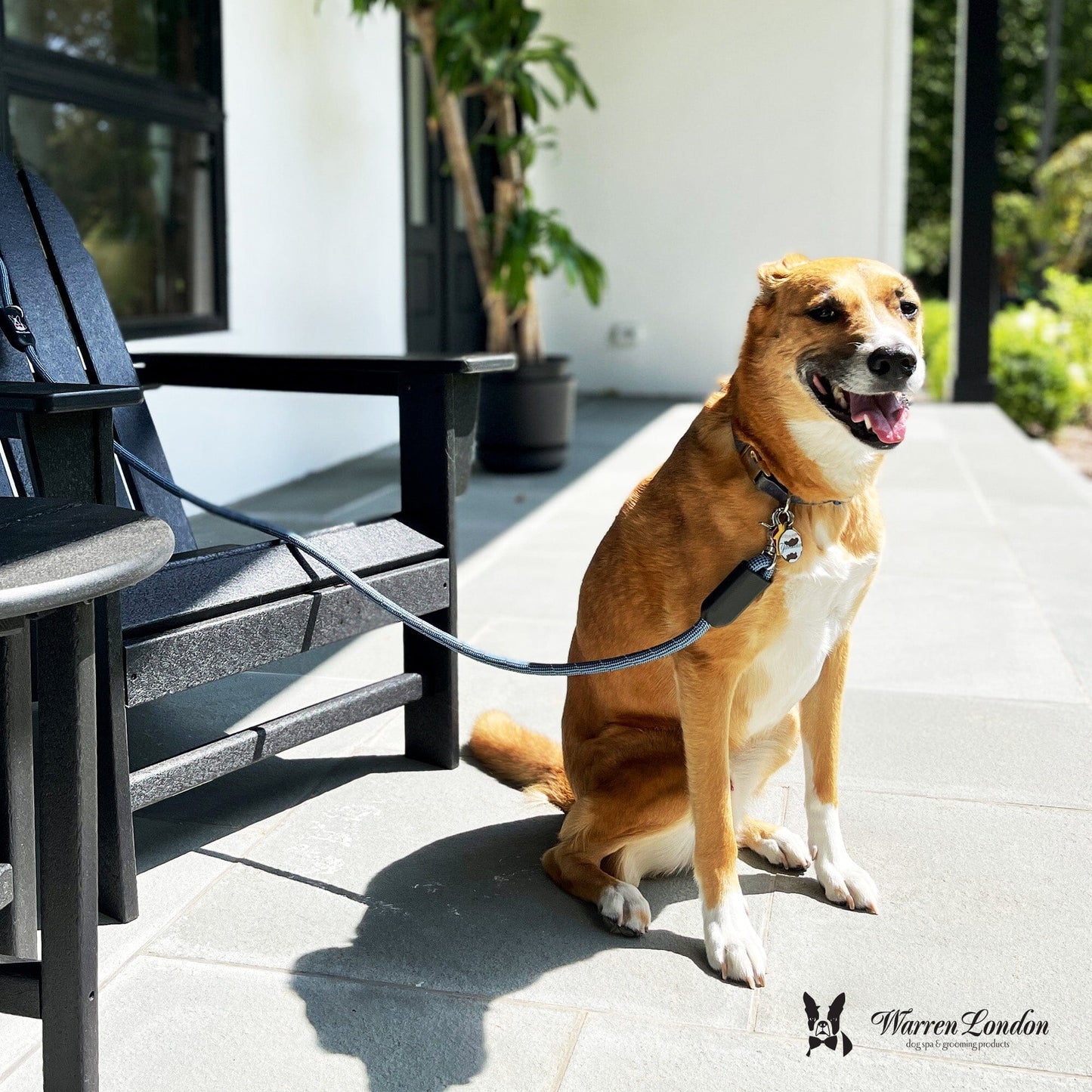 Rope Leash - Blue Reflective