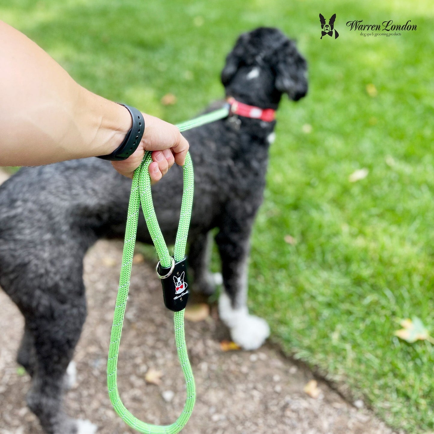 Rope Leash - 6 Styles