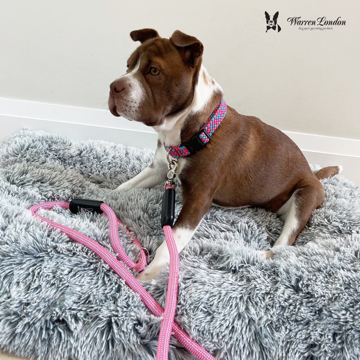 Rope Leash - 6 Styles