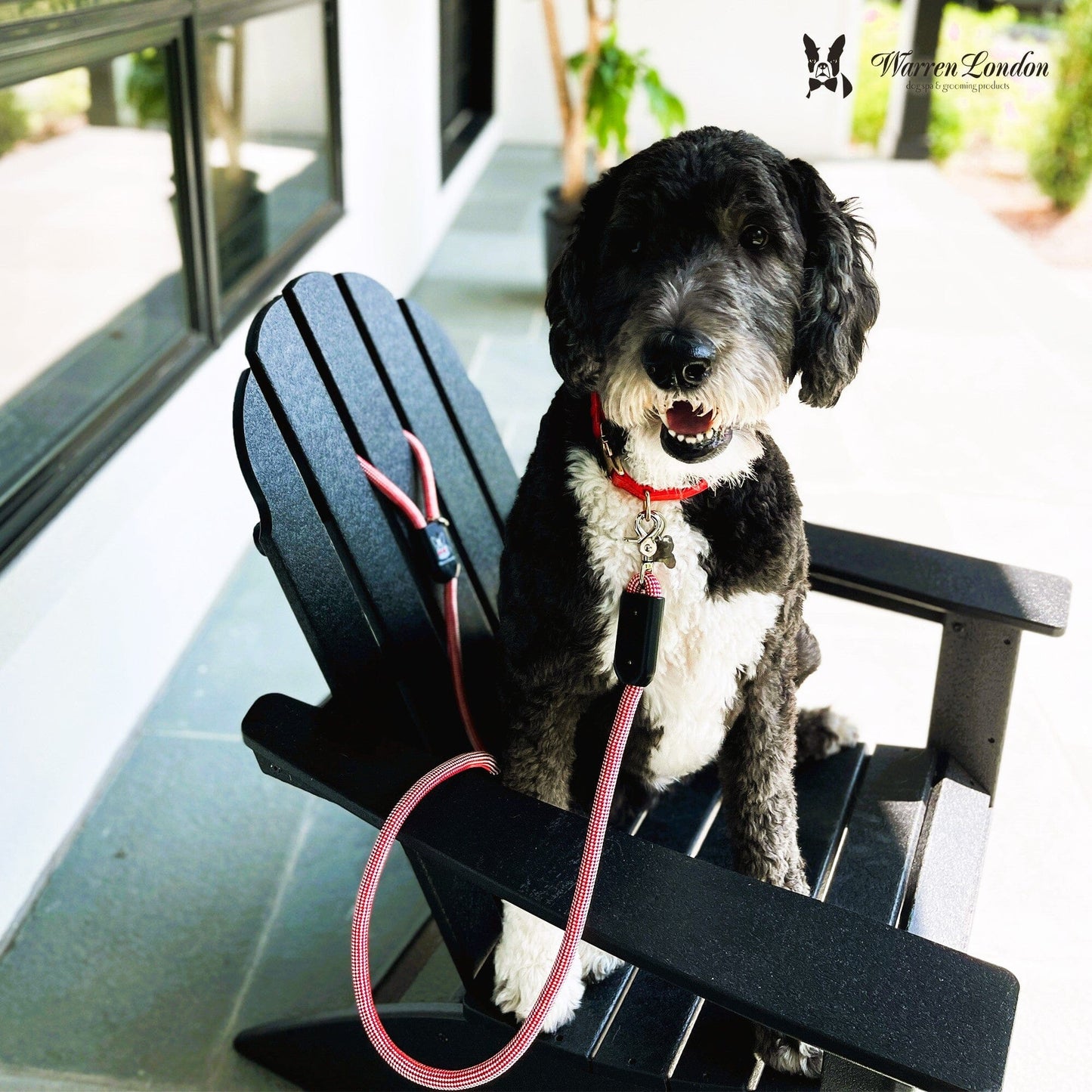 Rope Leash - 6 Styles