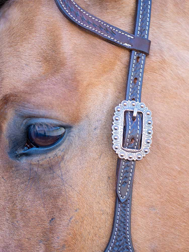 Toledo Headstall