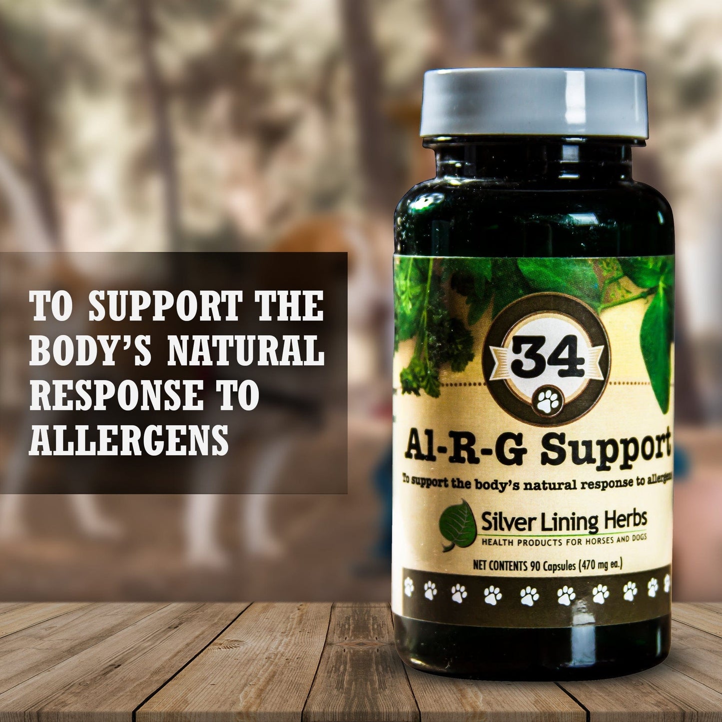 Al-R-G Support for Canines